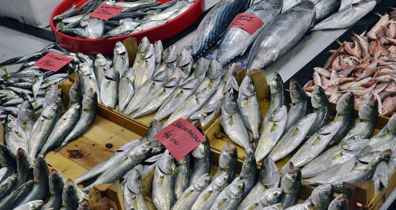 vatandas bu yil baliga doyacak kilosu 100 liraya kadar dustu Zu1Ft76w