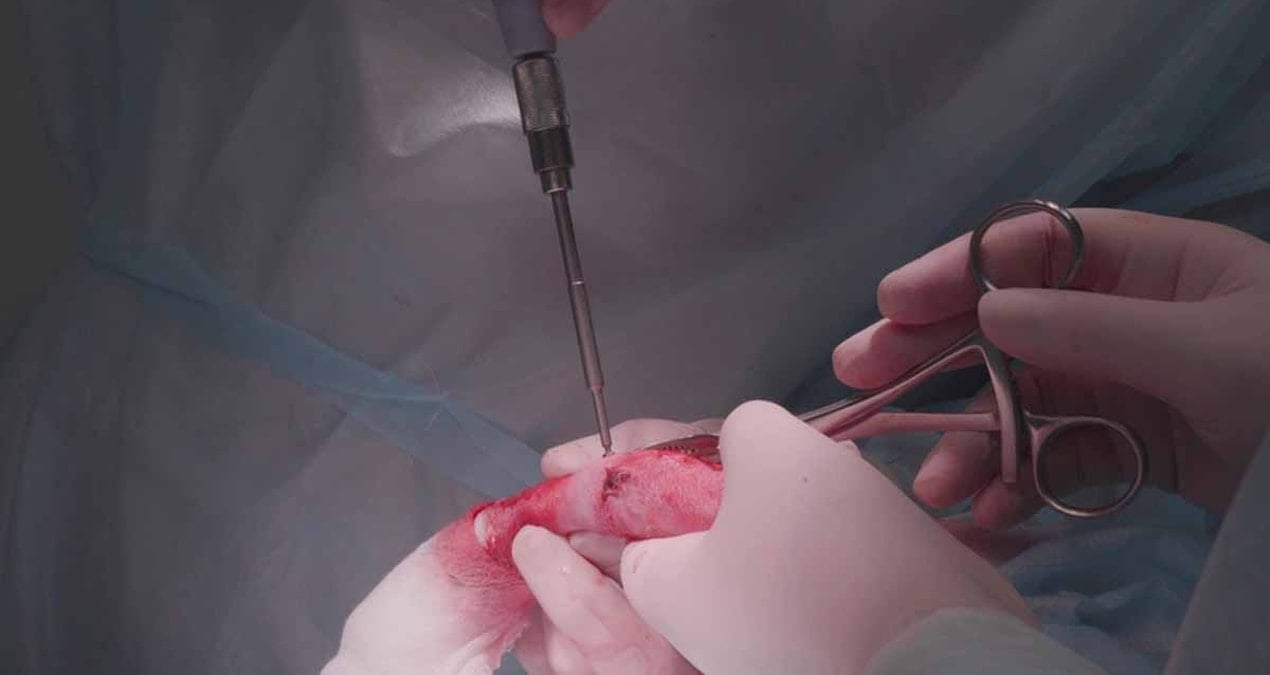 aracini ameliyathaneye cevirdi penis buyutme operasyonu yaparken yakalandi cIHZ4Z81.jpg