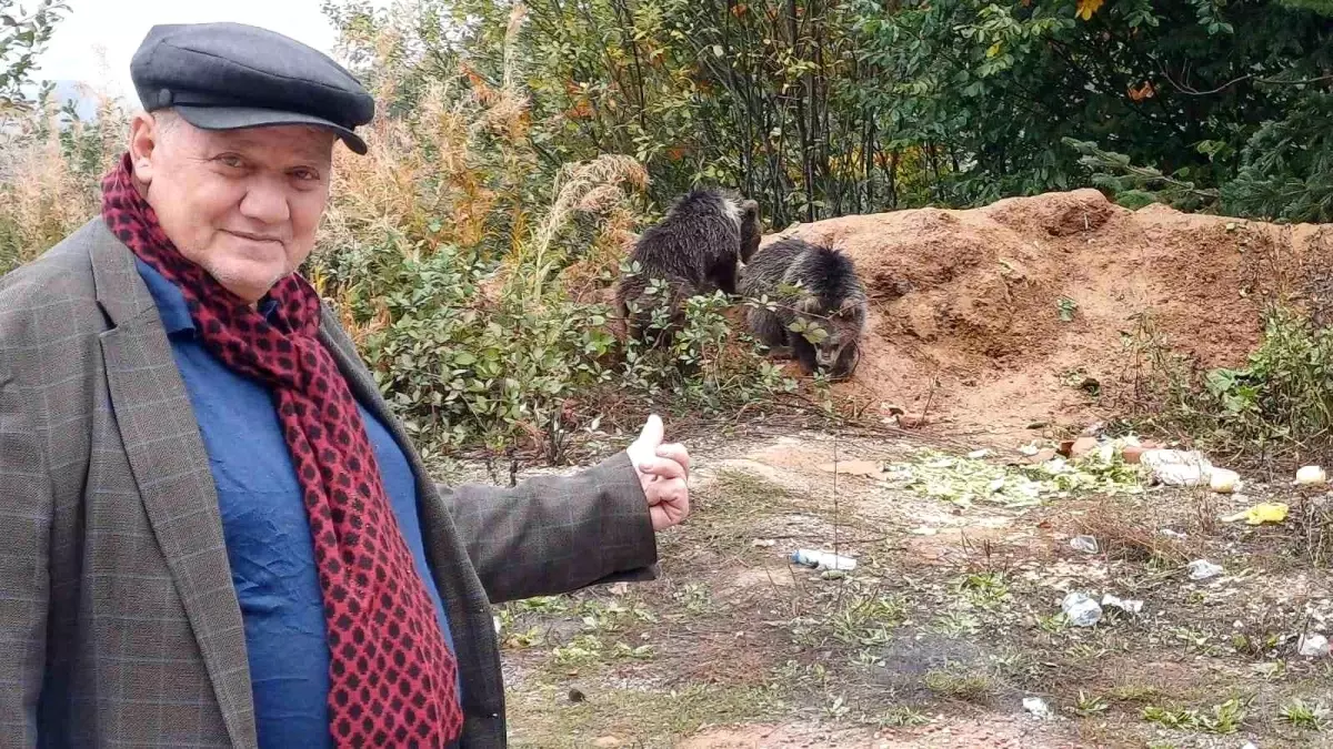 kurede yavru ayilar ilgi odagi ZwmzFjwY