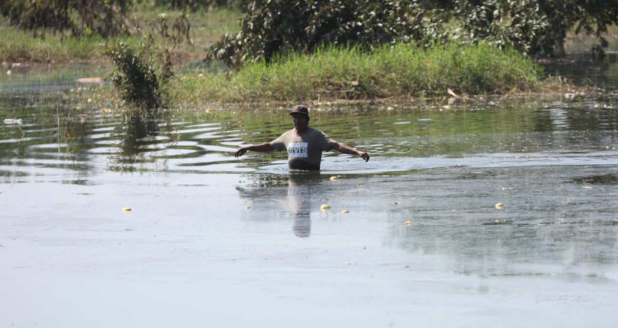 meksikadaki su baskinlari sehirleri yikti gecti 72 kisi oldu niuIXG2a.jpg