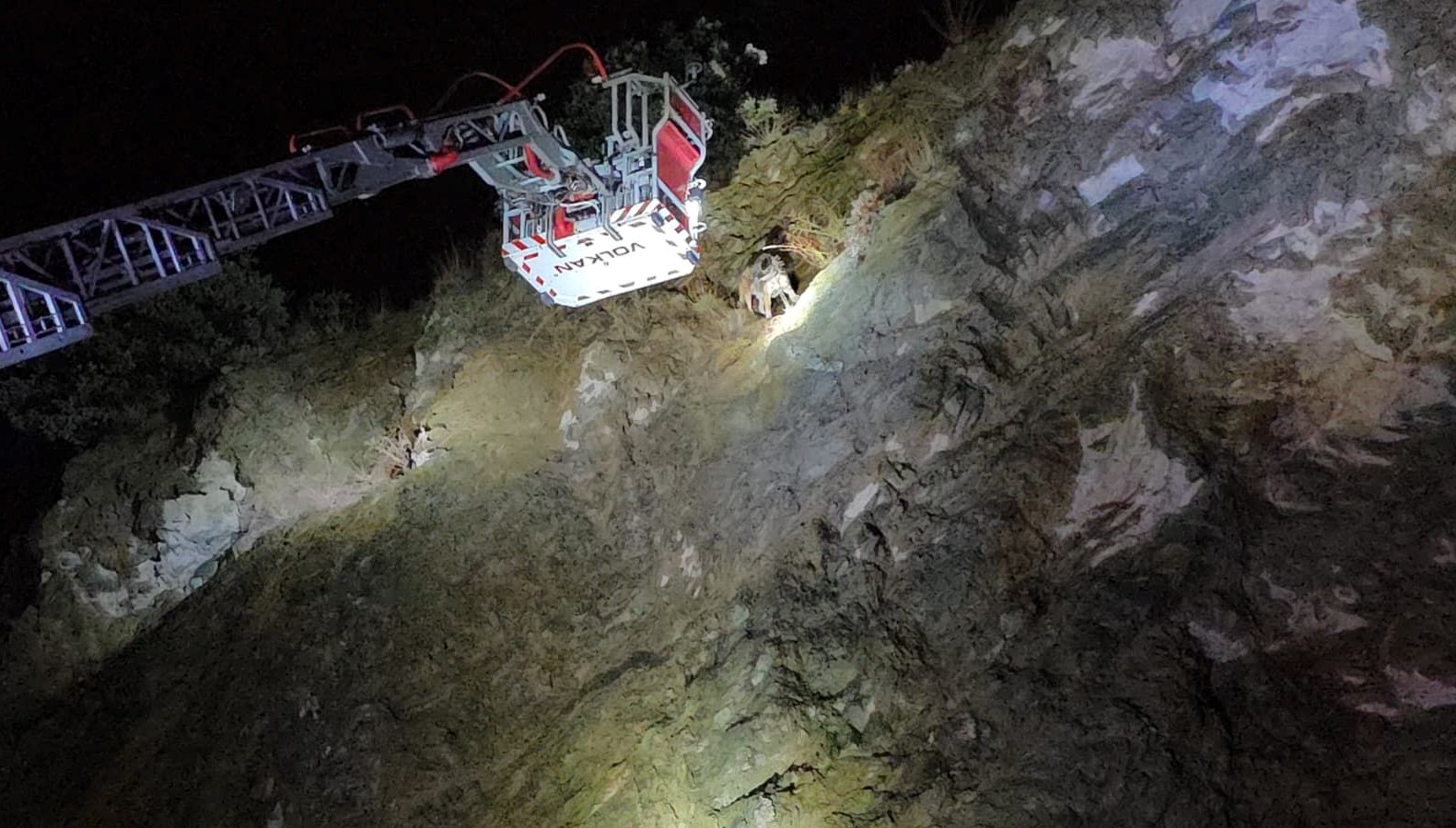 ucurumun ortasinda mahsur kalan kopege itfaiye yetisti P46Ytab4.jpg