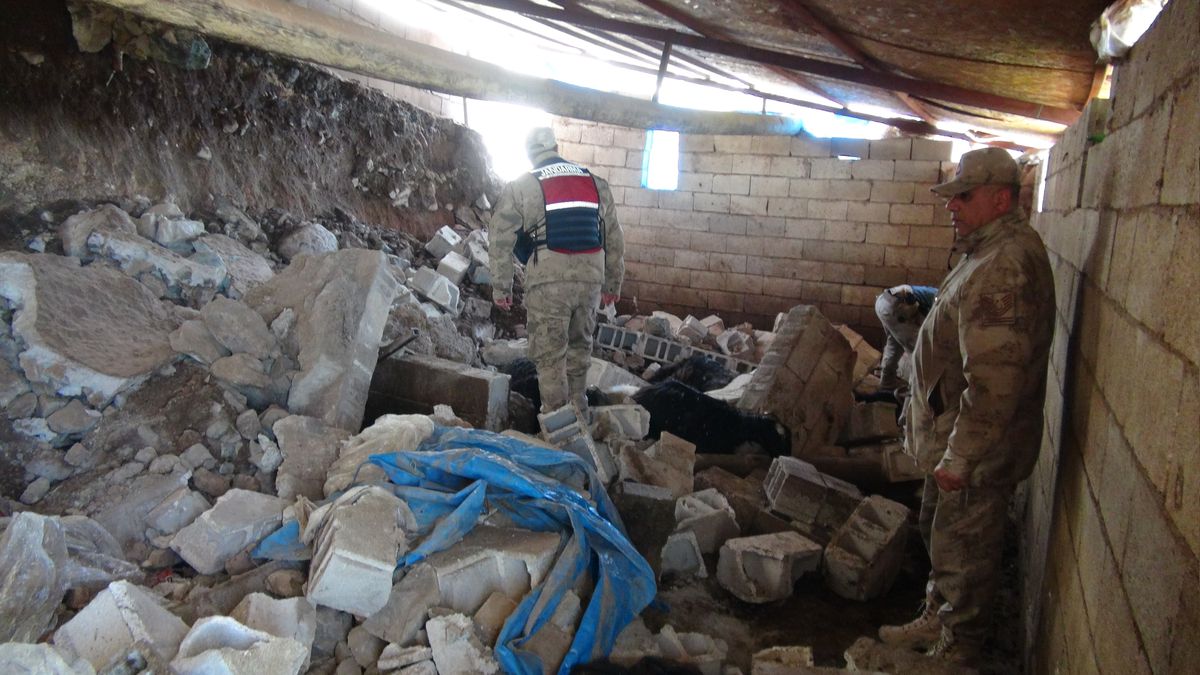 Kilis’te Sağanak Yağış Sonucu Ahır Çöktü, 40 Koyun Hayatını Kaybetti