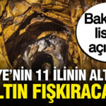 Turkiyenin 11 ilinin altindan altin cikarilacak bakanlik listeyi acikladi jzH6sPfJ