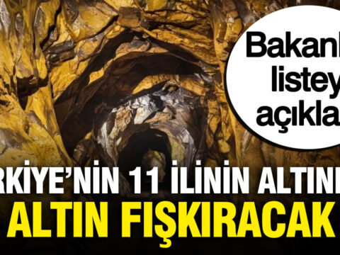 Turkiyenin 11 ilinin altindan altin cikarilacak bakanlik listeyi acikladi jzH6sPfJ